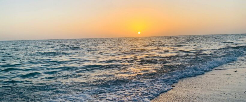 Do I Need a Probate Attorney After a Parent Dies in Florida