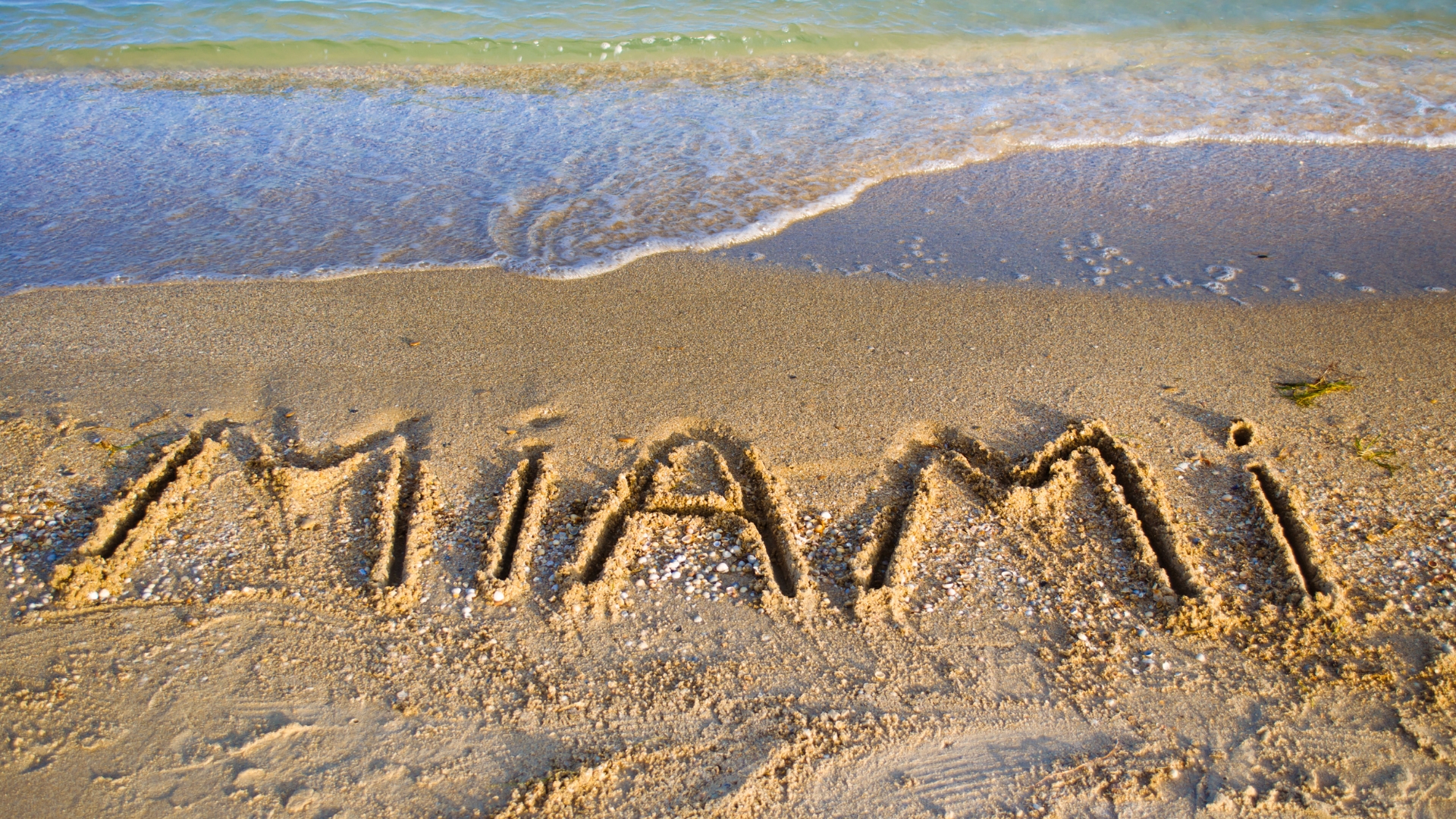 Florida Probate Attorney