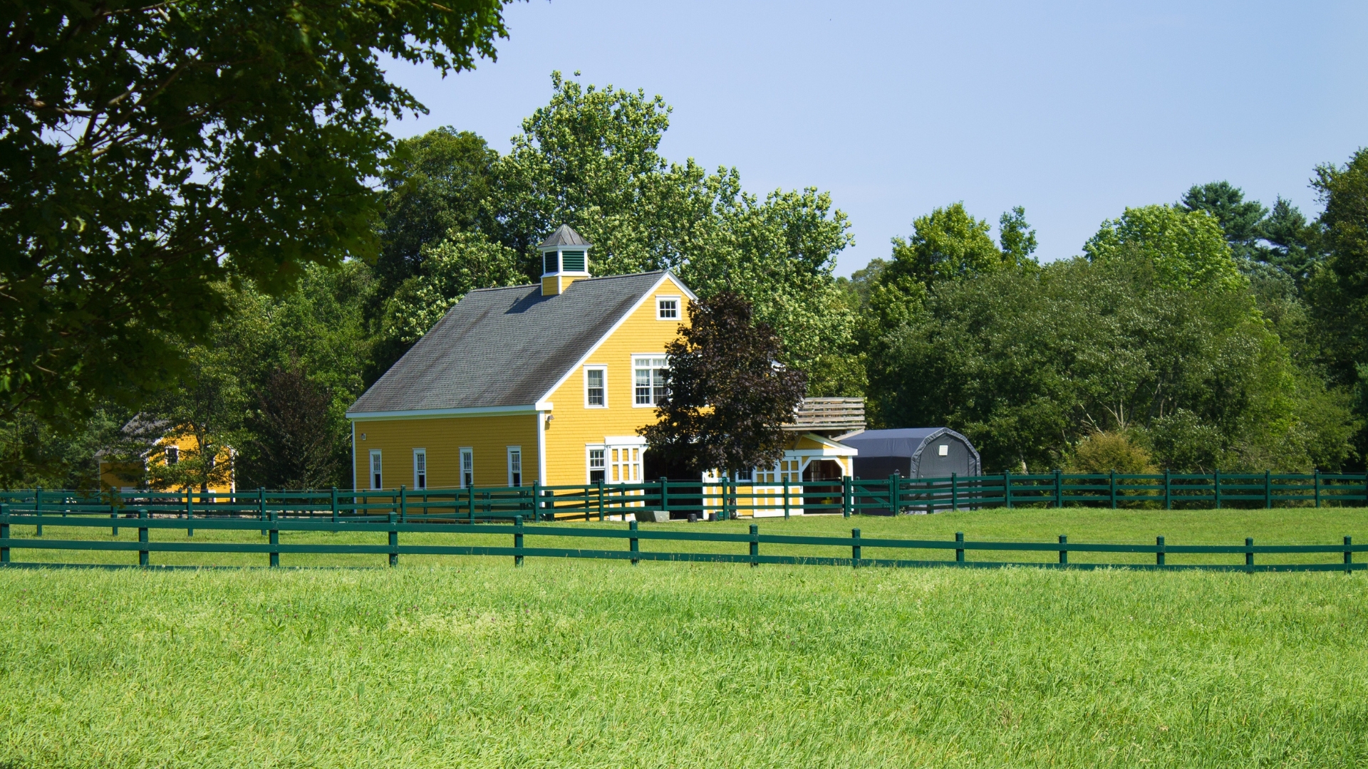 Probate Lawyer for Homestead Property in Florida Estates - Call Knox Law Today
